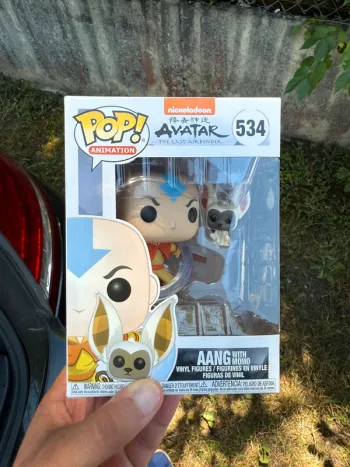 Funko Pop Aang with Momo 534 - Avatar
