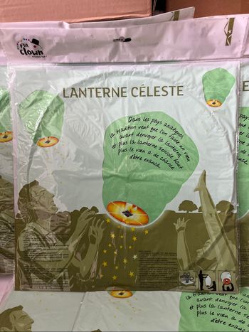 Lot 5 lanternes célestes vertes 1 mètre de hauteur