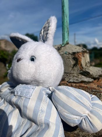 Doudou, lapin, bleu, tartine et chocolat