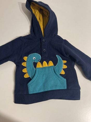 Sweat dinosaure 3 mois