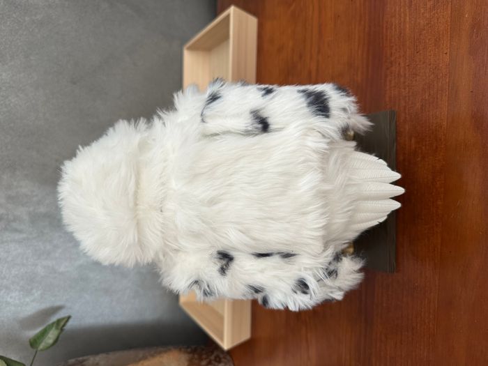 Hedwige Harry Potter - photo numéro 3