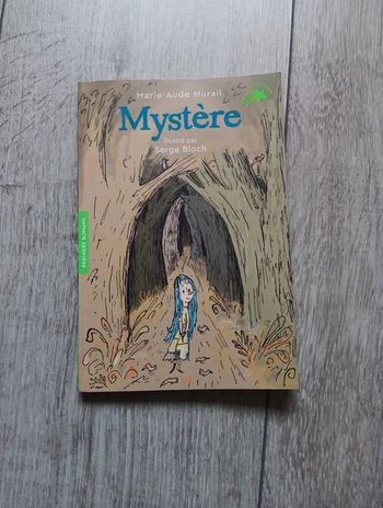 Livre Mystère de Marie Aude Murail Premiers romans Gallimard