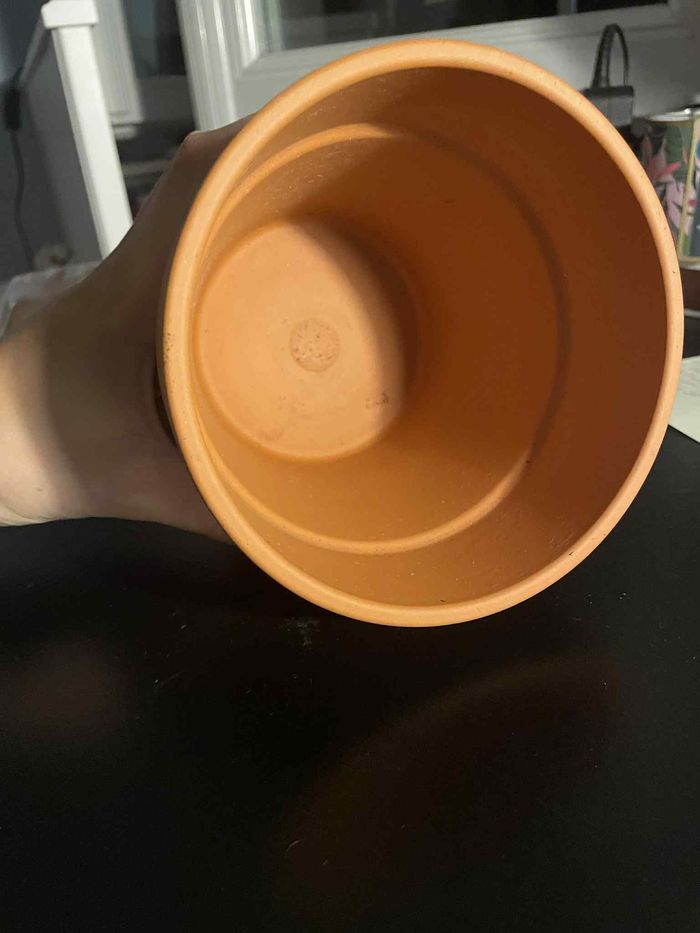 pot en terre cuite - photo numéro 2