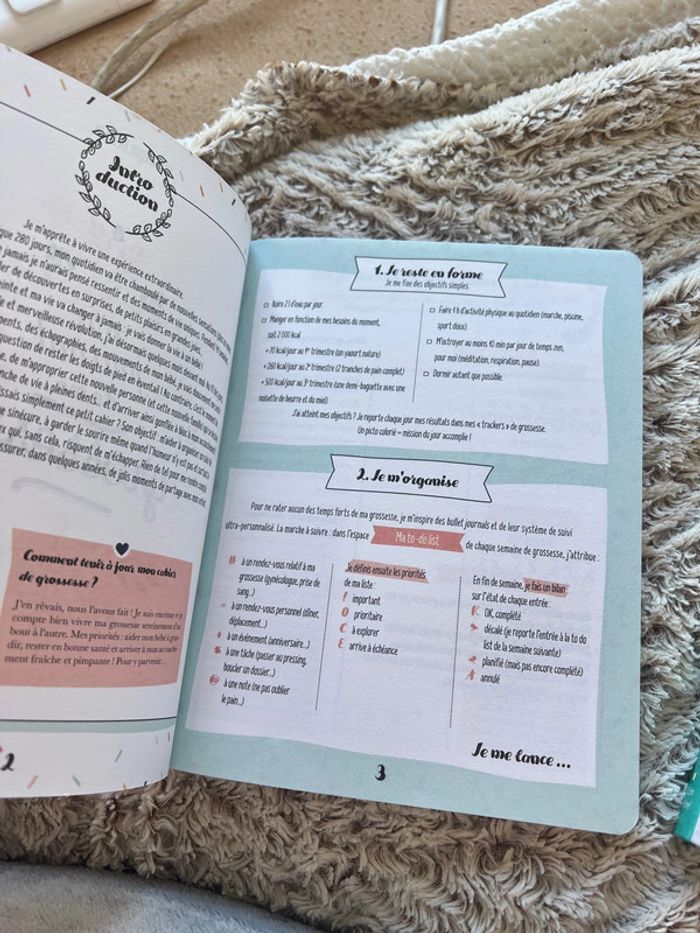 Petit journal de ma grossesse - photo numéro 9