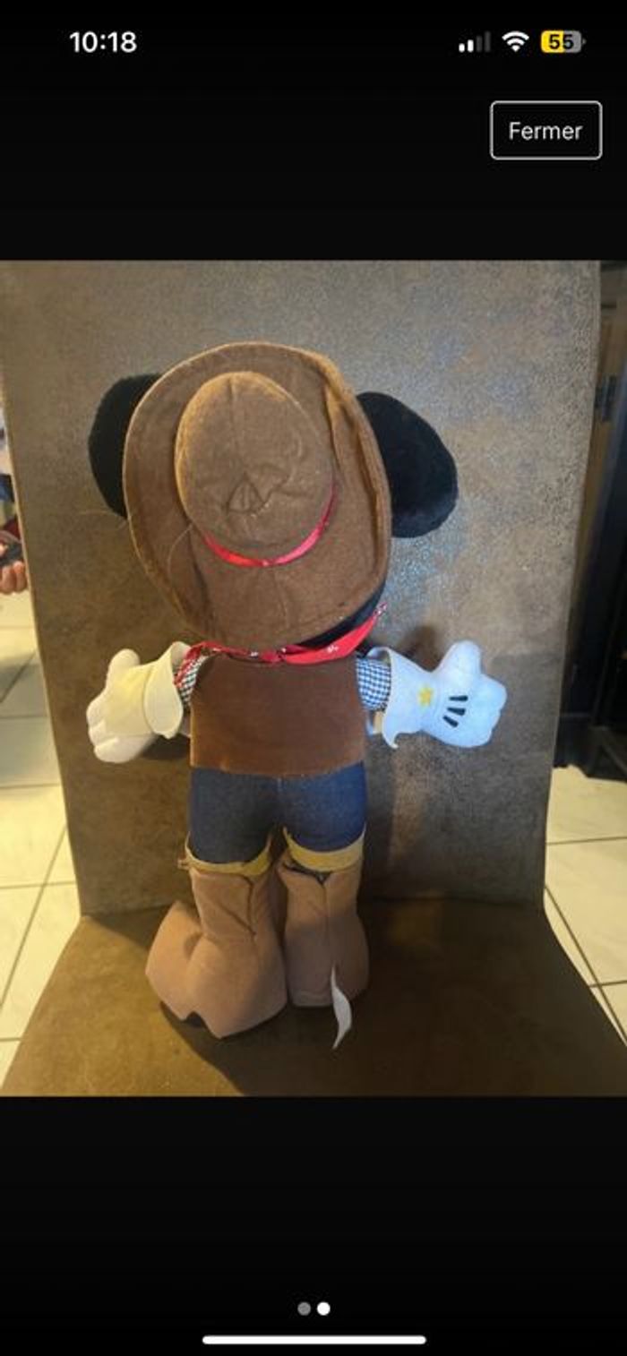 Mickey Cowboy - photo numéro 2