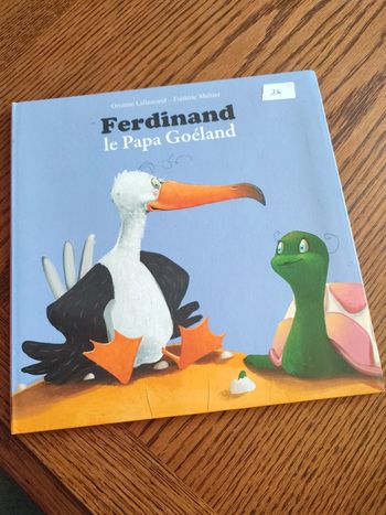 Livre Ferdinand le papa goéland