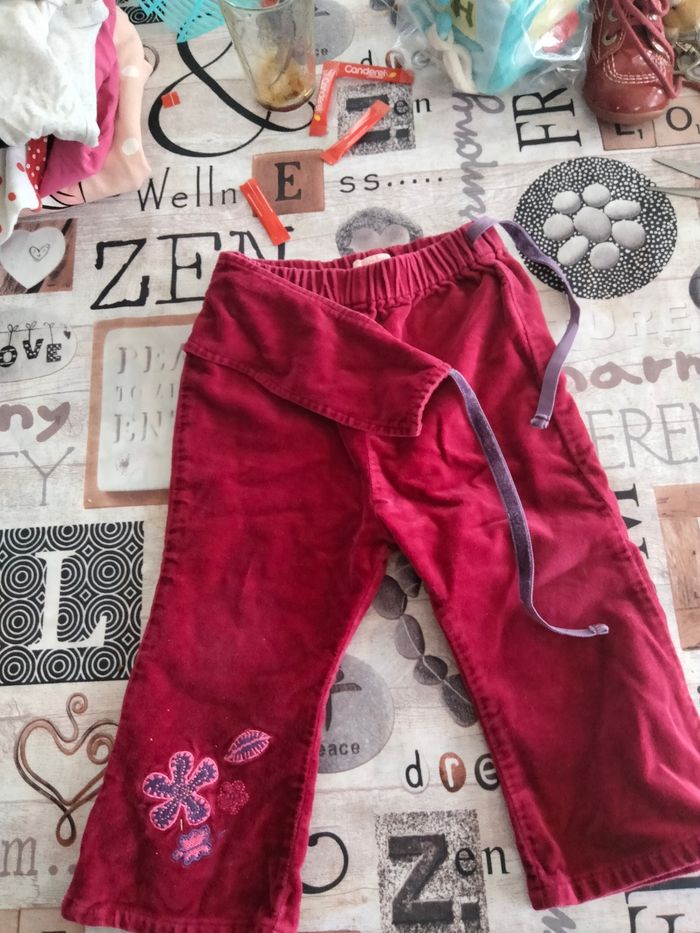 Pantalon brodé velours ras