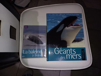 Coffret cadeau livre et dvd sur la baleine