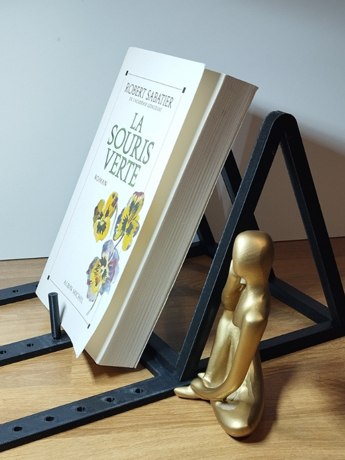 Roman La souris verte de Robert Sabatier - photo numéro 3