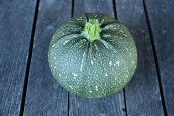 Courgette ronde de Nice