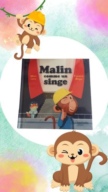 Malin comme un singe (Marc Lévy/Florent Bégu)