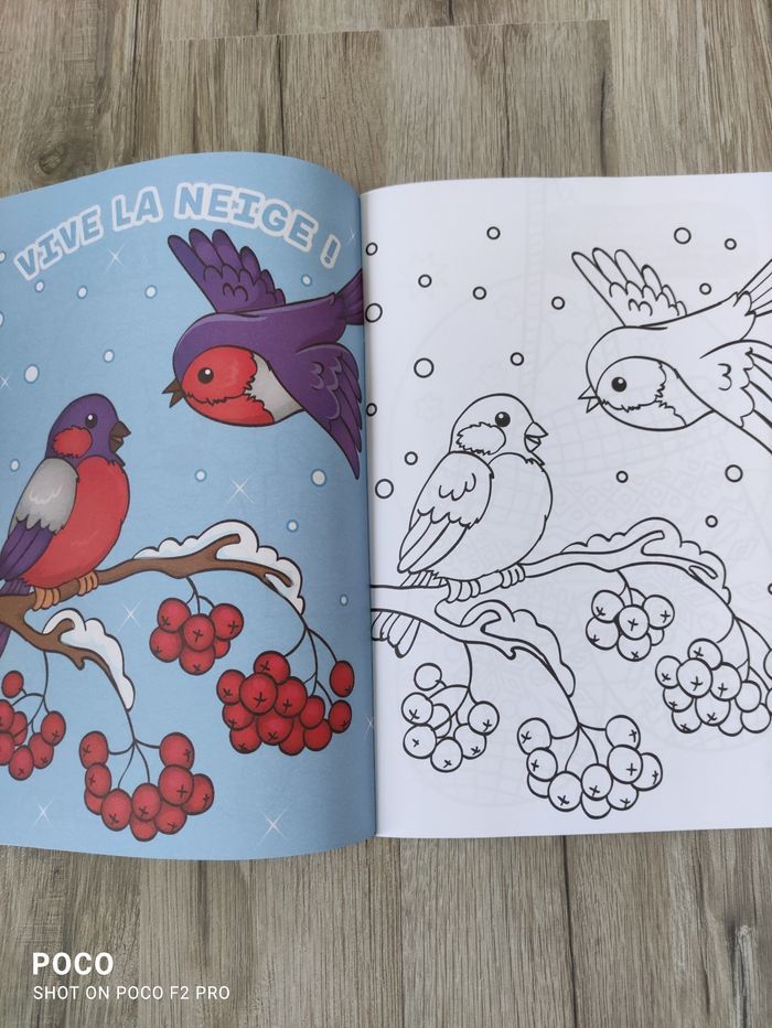Coloriage - photo numéro 2