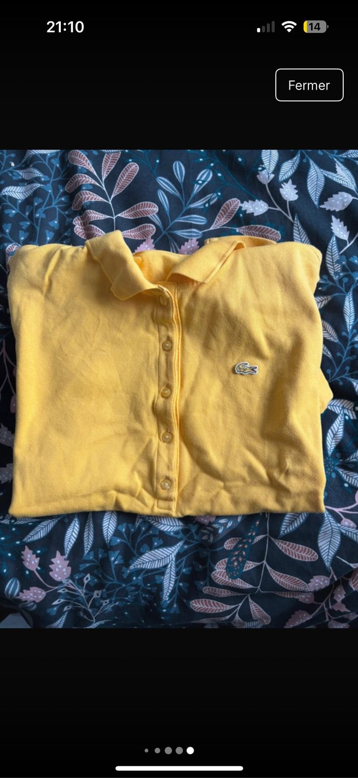 Polo Lacoste - photo numéro 5