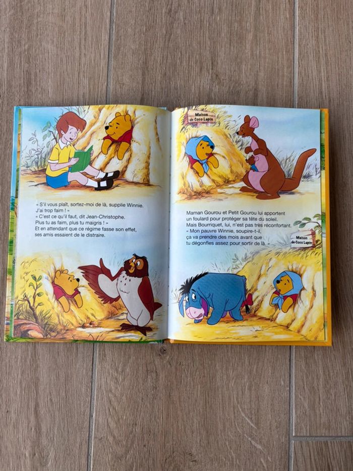 Winnie l’ourson - photo numéro 3