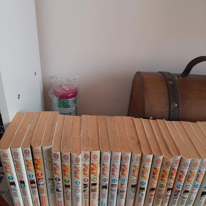 Manga Fly intégrale tome 1 à 37 - photo numéro 4