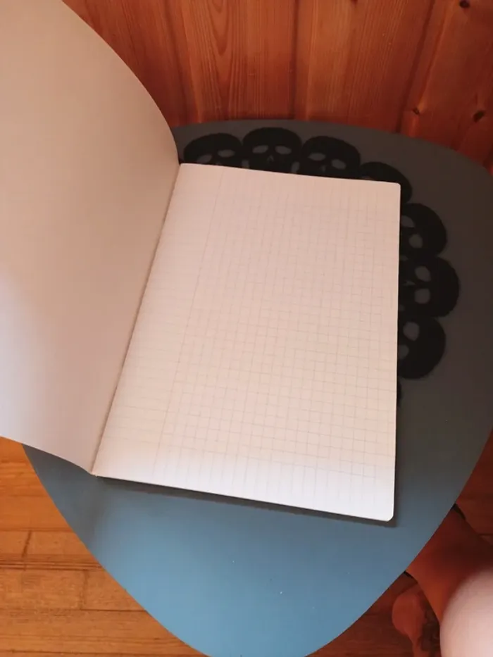 Cahier A4 motif fille rollers - photo numéro 4