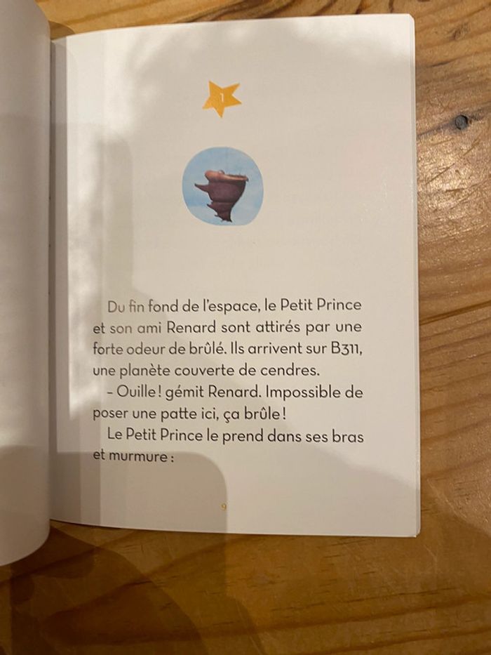 Le petit prince la couronne de l’oiseau de feu - photo numéro 7