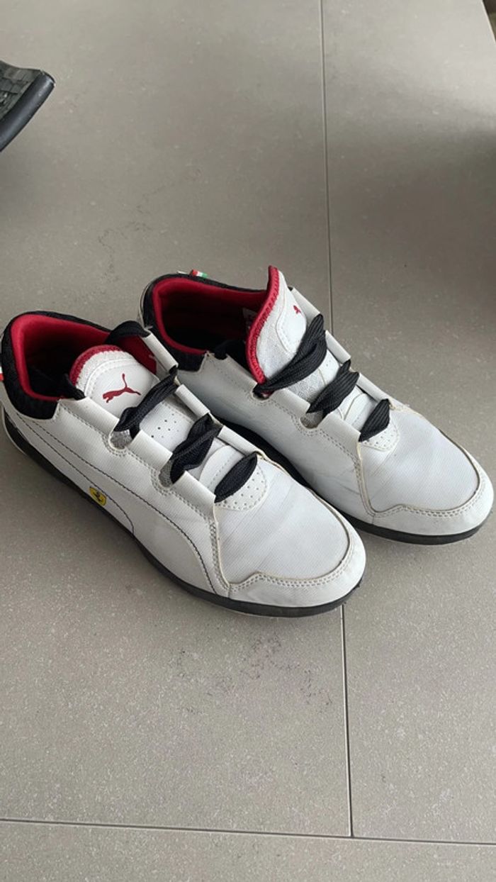 Basket puma