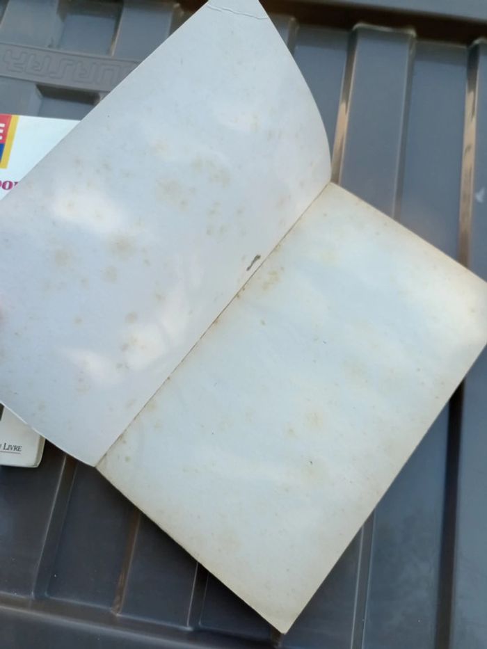 Billy Ze kick - photo numéro 4