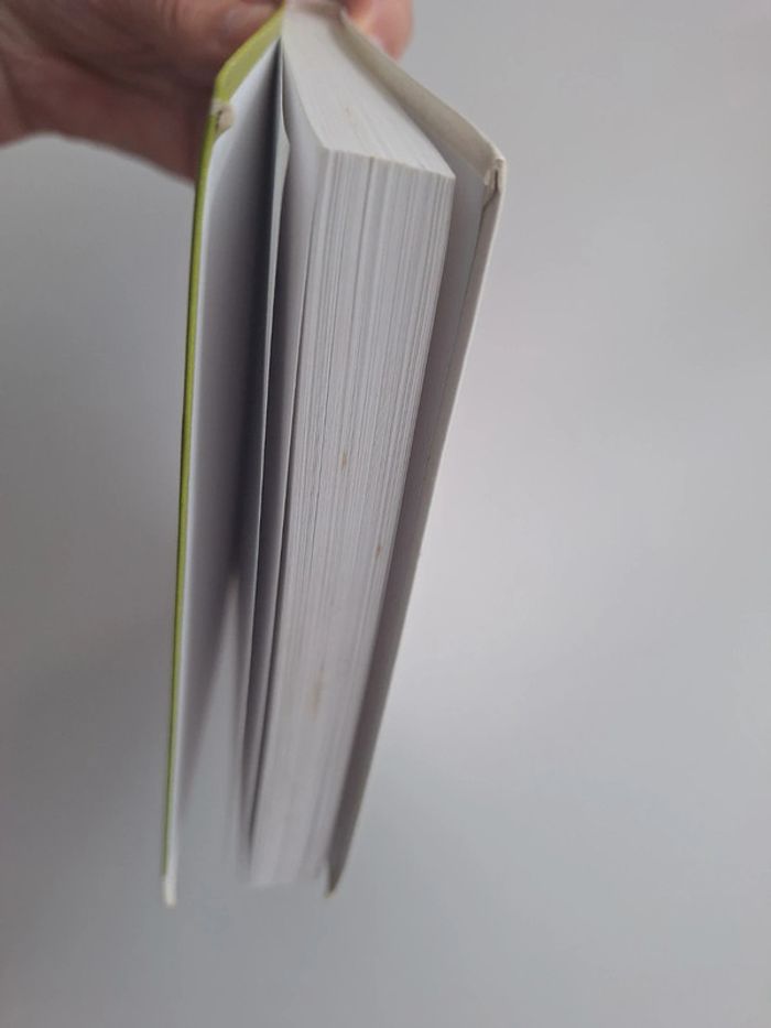 Livre les Deux Nigauds de la Comtesse de Ségur - photo numéro 2