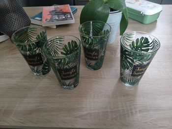 VERRES JUNGLES SUMMER