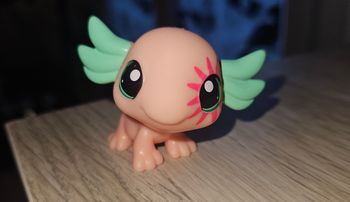 Petshop Axolotl 