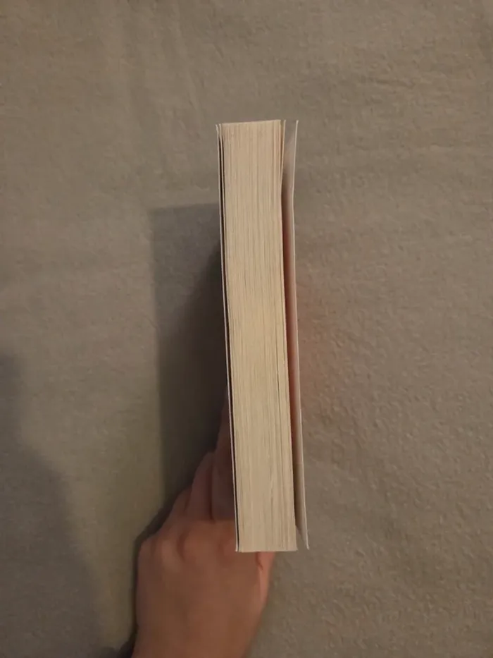 Le Maître du Haut Château – Philip K. Dick - photo numéro 3