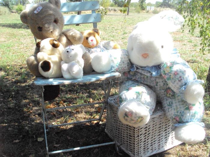 peluche - photo numéro 3