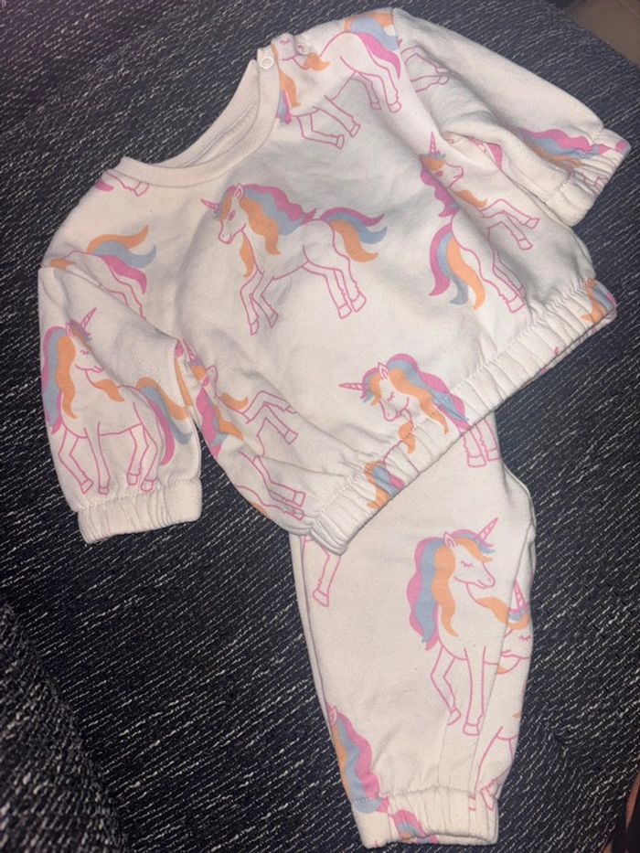 Ensemble licorne
