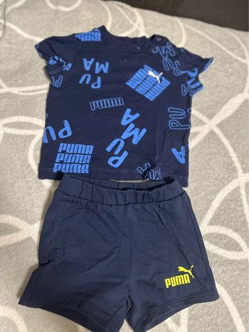 Ensemble puma