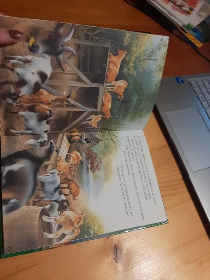 Livre recueil des animaux, mes amis ! - photo numéro 3
