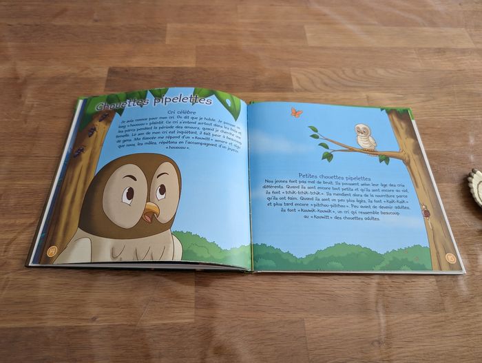 Livre La chouette hulotte avec son animal de la collection Je vis dans la forêt éditions Altaya - photo numéro 5