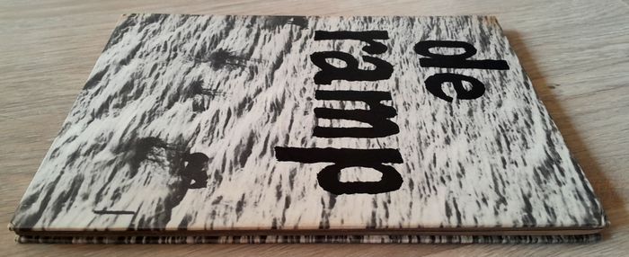 de ramp - désastre de la mer - photo numéro 7