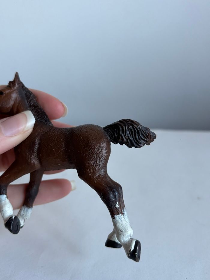 Poulain papo - photo numéro 3