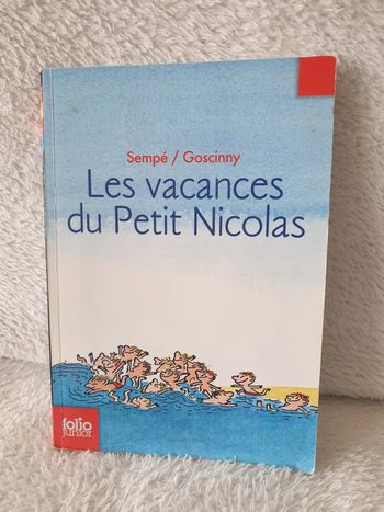 Livre Les vacances du Petit Nicolas