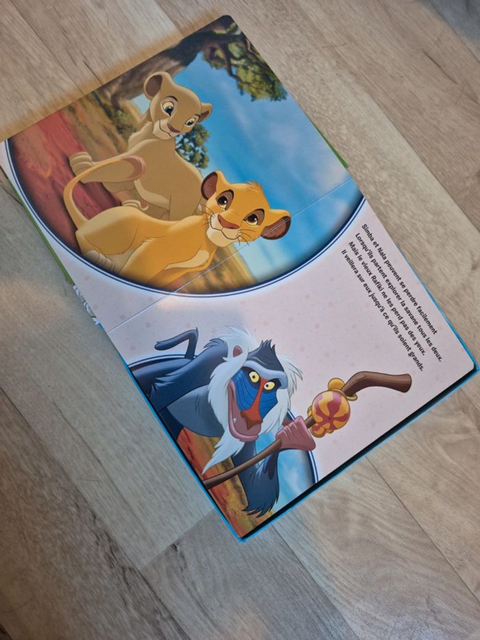 Livre Disney - photo numéro 2