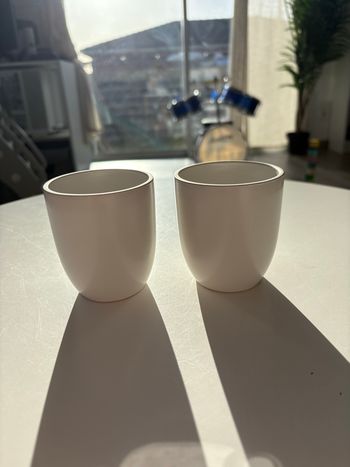 Lot de 2 tasses blanches