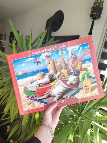 Puzzle 1000 pièces – Complet – Castorland – Chats sur plage