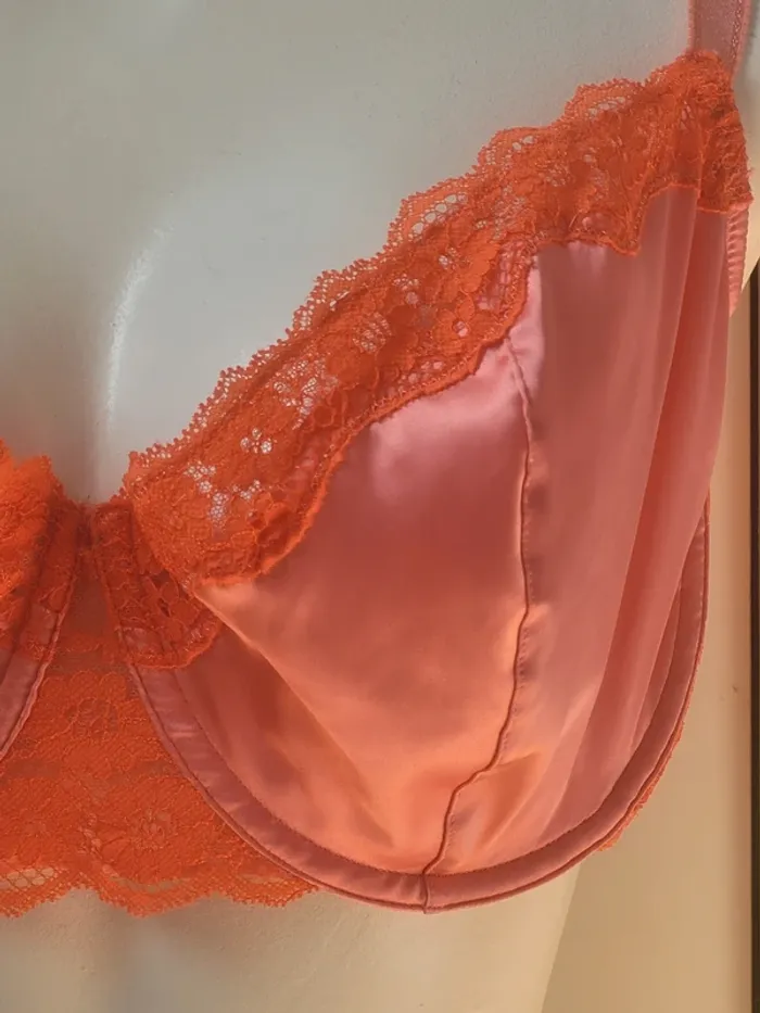 Soutien-gorge corbeille 105E Darjeeling - photo numéro 3