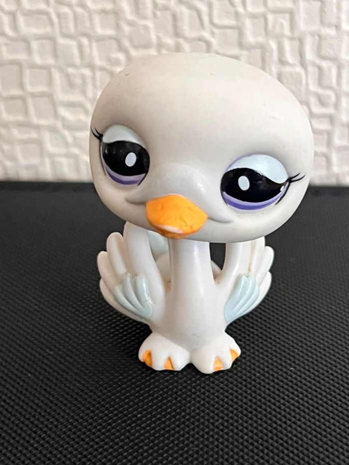 Cygne 1391