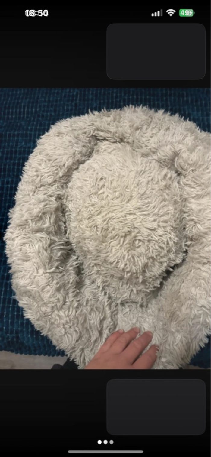 Panier doux pour chat - photo numéro 3