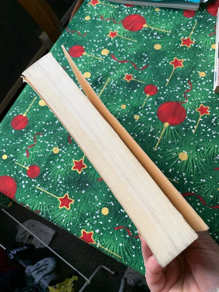 Rani roman - photo numéro 4