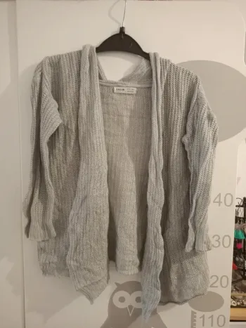 Gilet gris