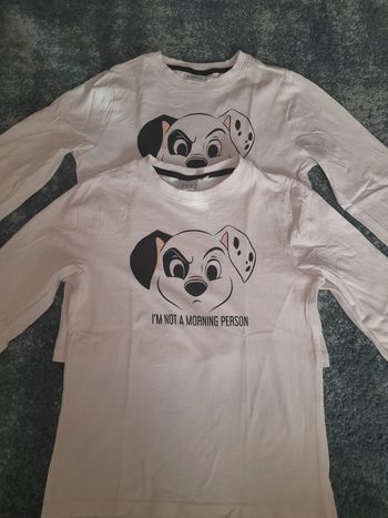 Lot 101 dalmatiens jumeaux