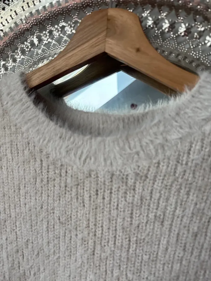 Pull à poils - photo numéro 3