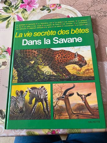 Les bêtes dans la Savane
