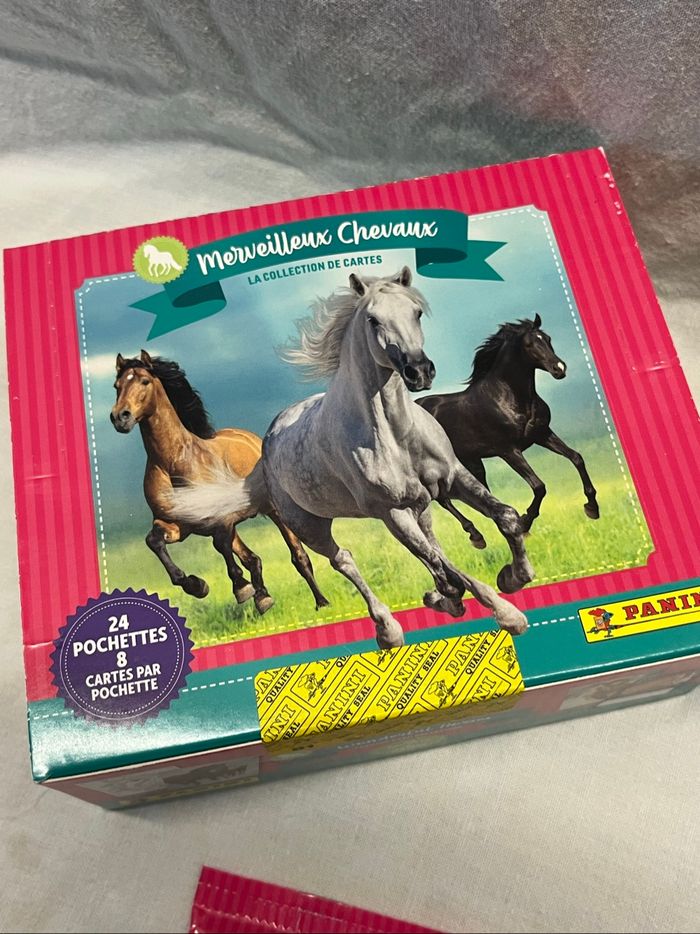 Box + 1 sachet panini Cartes à collectionner Merveilleux Chevaux neuve - photo numéro 2