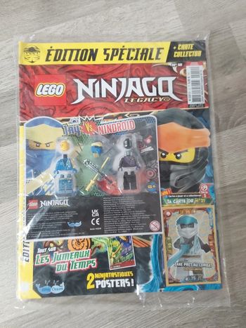 Magazine Lego Ninjago🤺