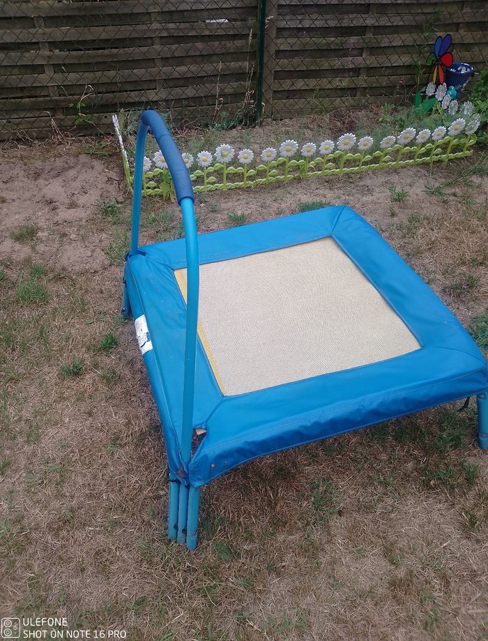 Trampoline - photo numéro 5