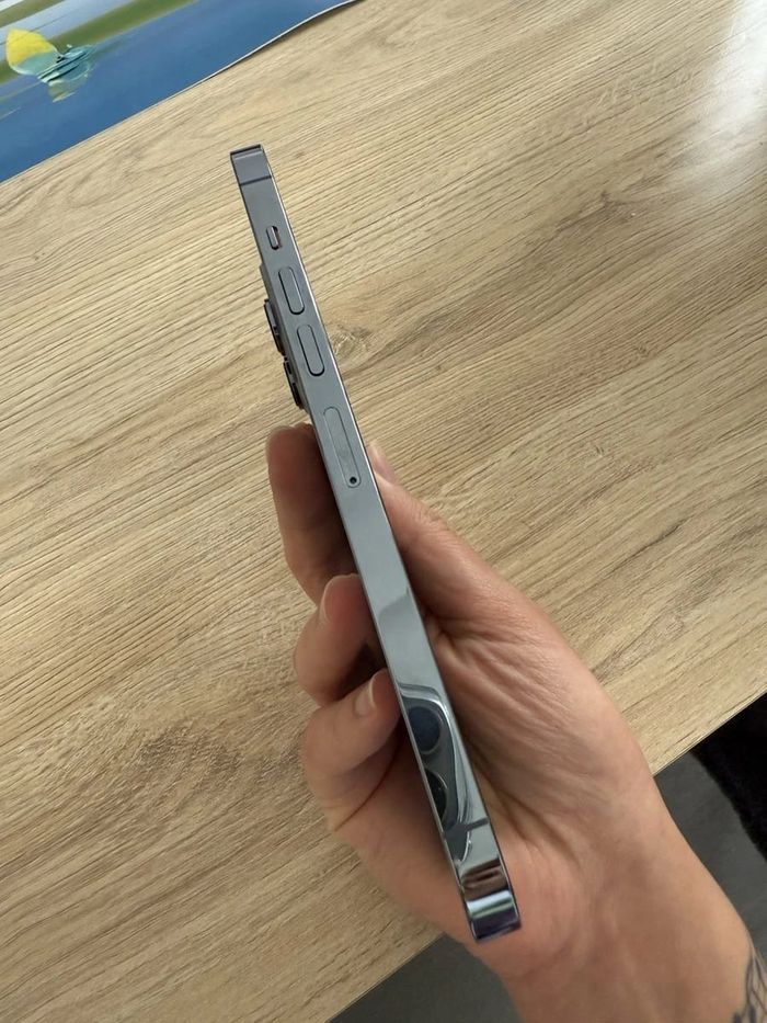 A p p l e treize pro max. - photo numéro 5